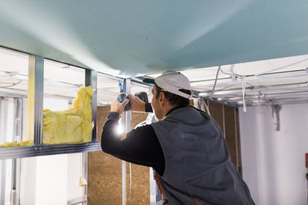 Best Eco-Friendly Insulation in Wood Dale, IL