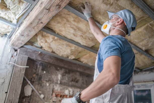 Reliable Wood Dale, IL Insulation Contractor Solutions